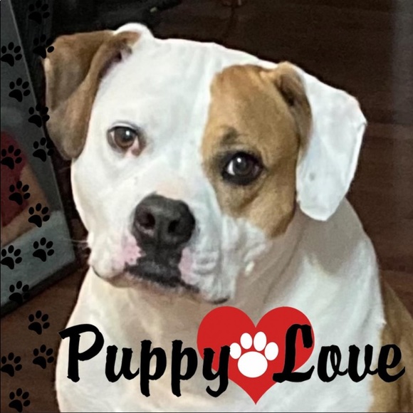 Meet your Posher, Alice - Picture 2 of 2